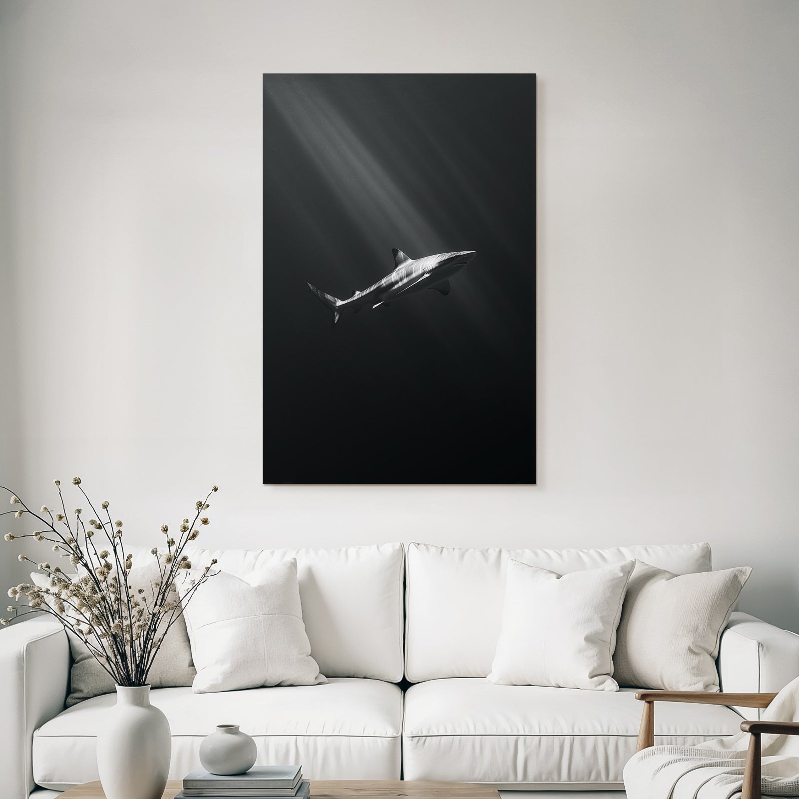 Meeres Hai Unterwasser Dramatisch Lichtstrahlen Schwarz Weiss