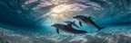 Meeres Delfine Unterwasser Sonnenstrahlen Meeresleben | Meerestiere | Tiere