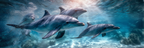 Meeres Gruppe Delfine Im Unterwasser Spielend | Meerestiere | Tiere
