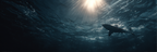 Meeres Hai Unterwasser Sonnenlicht Sanfte Stimmung | Meerestiere | Tiere