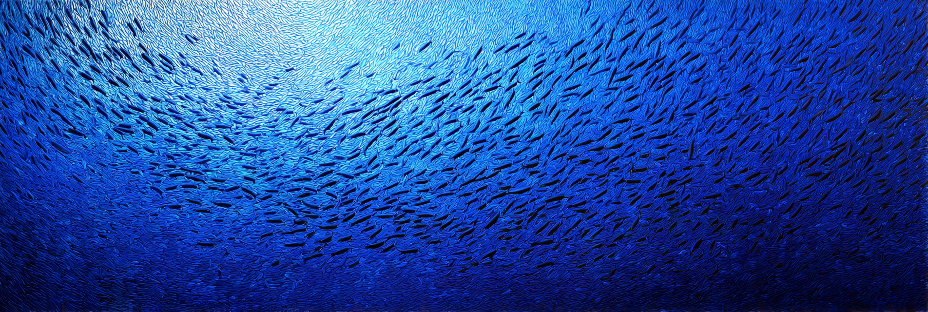 Meeres Unterwasserwelt Mit Fischschwarm | Meerestiere | Tiere