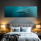 Marine Whale Shark Large Pattern White Spots Dark Background