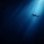 Meeres Hai Schwimmt Im Tiefen Wasser Mit Lichtstrahlen | Meerestiere | Tiere