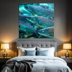 Meeres Lachs Schwarm Im Wasser