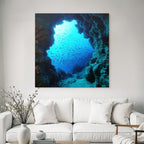 Meeres Unterwasser Felsbogen Sonnenlicht Fischschwarm