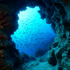 Meeres Unterwasser Felsbogen Sonnenlicht Fischschwarm | Meerestiere | Tiere