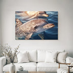 Meeres Delfin Schwimmt Nahe Der Oberflache Sonnenlicht Spiegelt Sich Auf Seiner Haut