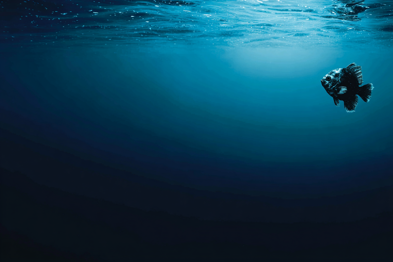 Meeres Fisch Im Tiefblaün Wasser | Meerestiere | Tiere