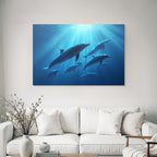 Meeres Gruppe Von Delfinen Unterwasser Mit Sonnenlichtstrahlen