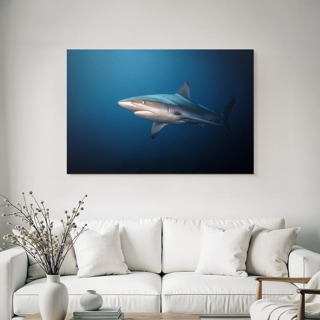 Meeres Hai Im Ozean Unterwasser Schlanker Körper Und Flosse