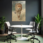 Cheetah Im In Der Natur Mit Gras Und Bewuchs