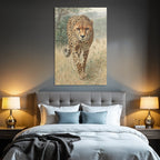 Cheetah Im In Der Natur Mit Gras Und Bewuchs