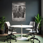 Three Elephants Monochrome In Natural Habitat