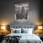 Three Elephants Monochrome In Natural Habitat