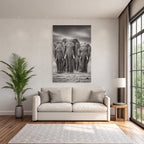 Three Elephants Monochrome In Natural Habitat