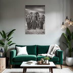 Three Elephants Monochrome In Natural Habitat