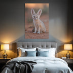Fennec Fuchs Sahara Wüste Grosse Ohren Kleine Grösse
