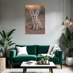 Fennec Fuchs Sahara Wüste Grosse Ohren Kleine Grösse