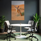 Fennefox Grosse Ohren Wüste Nordafrika