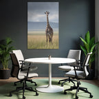 Giraffe Im Grünen Feld Mit Unscharfem Hintergrund