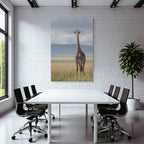 Giraffe Im Grünen Feld Mit Unscharfem Hintergrund