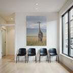 Giraffe Im Grünen Feld Mit Unscharfem Hintergrund