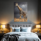Giraffe In Der Natur Mit Himmel Und Gras