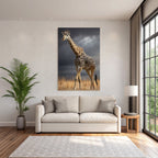 Giraffe In Der Natur Mit Himmel Und Gras
