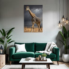 Giraffe In Der Natur Mit Himmel Und Gras