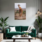 Giraffe In Natur Mit Langen Hals Und Braunen Flecken