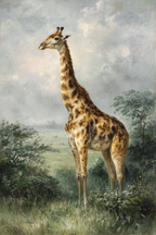 Giraffe In Natur Und Grünem Hintergrund Mit Wolkenhimme | Safari und Wildtiere | Tiere