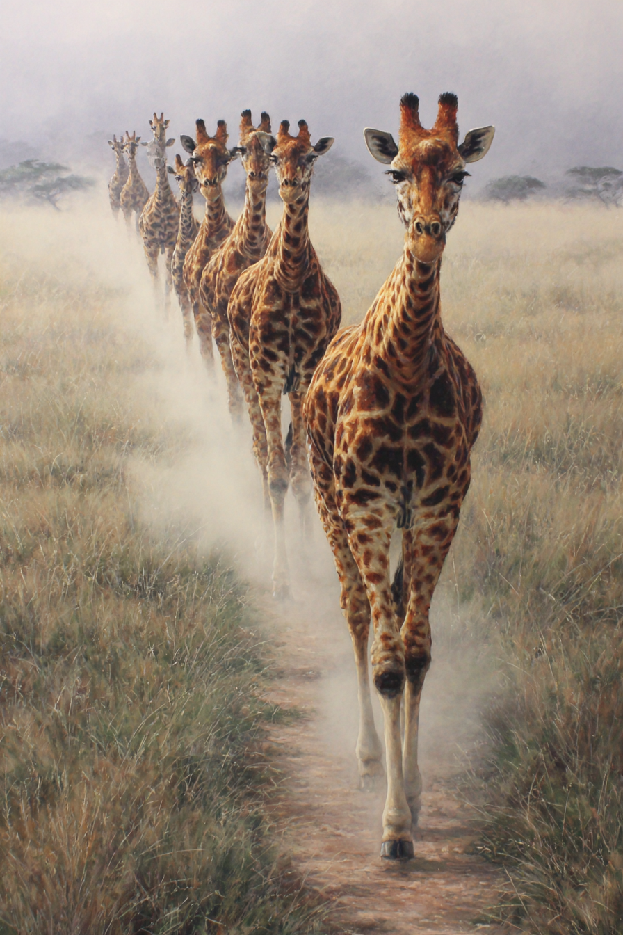 Giraffen In Der Savanne Mit Nebel Im Hintergrund | Safari und Wildtiere | Tiere