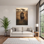 Lion Geht Durch Hochgras Bei Sonnenuntergang