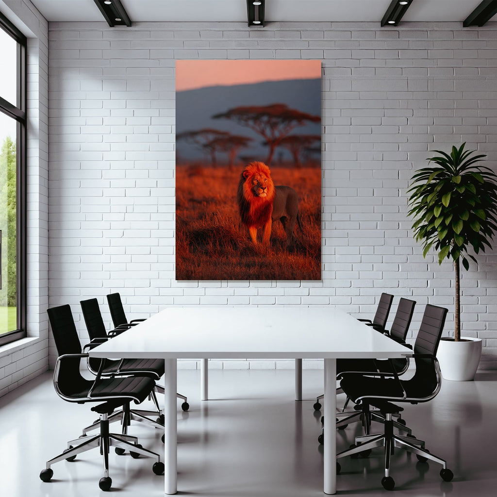 Lion In Vivid Landscape Bei Sonnenuntergang
