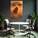 Lion Sunset Wildlife Natur Setting