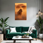 Lion Sunset Wildlife Natur Setting