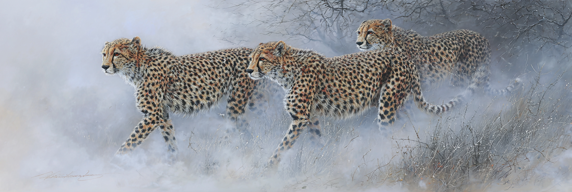 Cheetahs Im Wolkigen Landscape | Safari und Wildtiere | Tiere