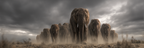Elefanten Durch Das Staubige Landschaft Unter Einem Dramatischen Himmel | Safari und Wildtiere | Tiere