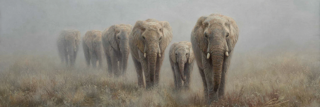 Elefanten Durch Neblige Landlandschaft Majestätische Präsenz | Safari und Wildtiere | Tiere