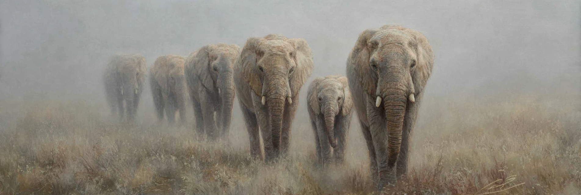 Elefanten Durch Neblige Landlandschaft Majestätische Präsenz | Safari und Wildtiere | Tiere