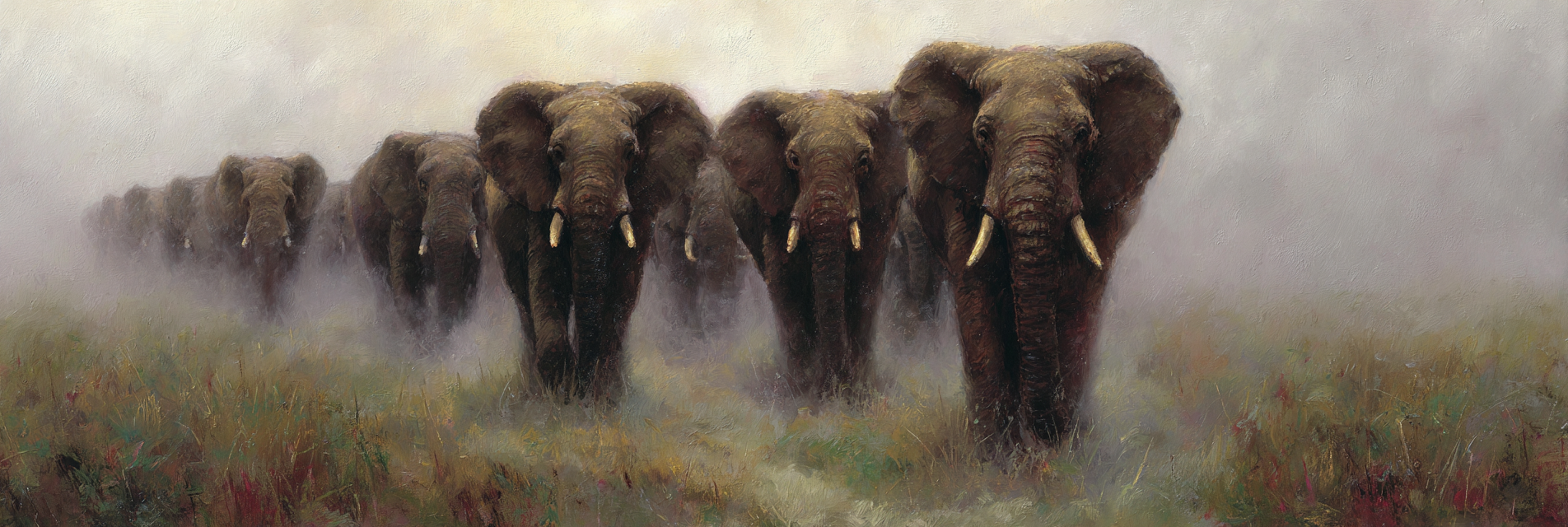 Elefanten Im Nebel Raum Mit Sanften Farben Und Texturen | Safari und Wildtiere | Tiere