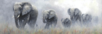 Elefanten Im Nebelhafte Landschaft Semi Realistisch | Safari und Wildtiere | Tiere
