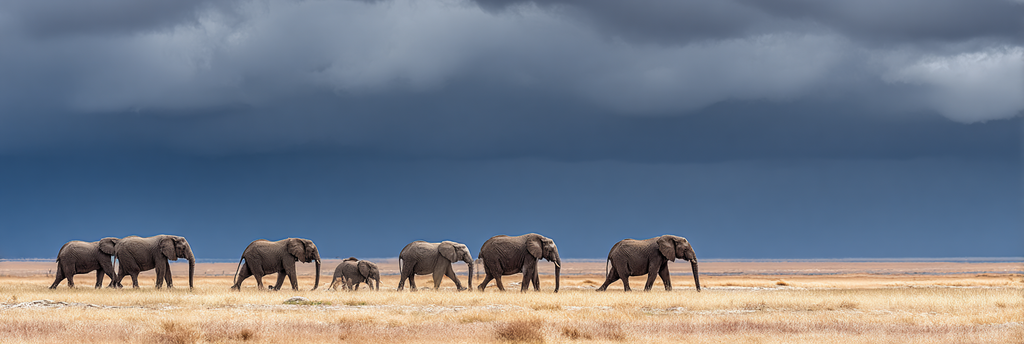 Elefanten Schreiten Durch Eine Grüne Landschaft Unter Einem Dramatischen Himmel | Safari und Wildtiere | Tiere