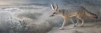 Fennec Fuchs Walking Im Steinigen Terrain Mit Nebliger Landschaft | Safari und Wildtiere | Tiere