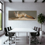 Fennekschmuser Mit Grossen Ohren Wüstentier