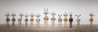 Gazellen Im Reihenstand In Einer Barrenlandschaft | Safari und Wildtiere | Tiere