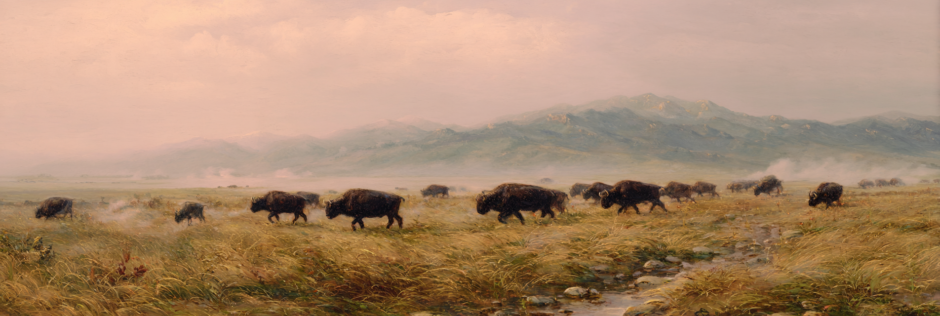 Herde Von Bison In Der Grünen Landschaft Mit Bergen Im Hintergrund | Safari und Wildtiere | Tiere