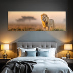 Lion Im Feld Bei Sonnenaufgang Oder Sonnenuntergang Goldenes Licht