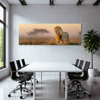 Lion Im Feld Bei Sonnenaufgang Oder Sonnenuntergang Goldenes Licht