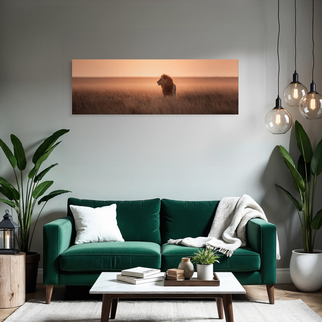 Löwe Im Grünen Feld Bei Sonnenuntergang